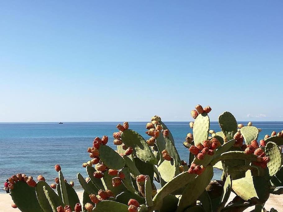 Appartamento Affittasi Alloggio A Due Passi Dal Mare. Gallipoli Esterno foto